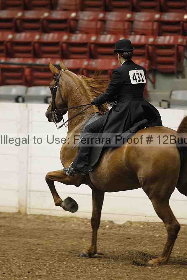 Proof 12buck_0477