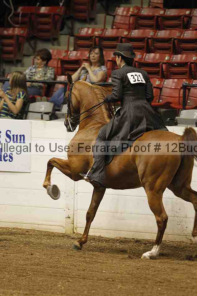 Proof 12buck_0478