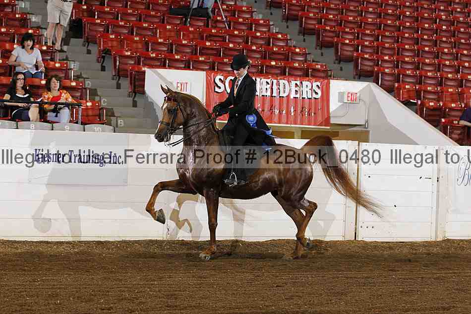 Proof 12buck_0480
