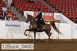 12buck_0480 proof