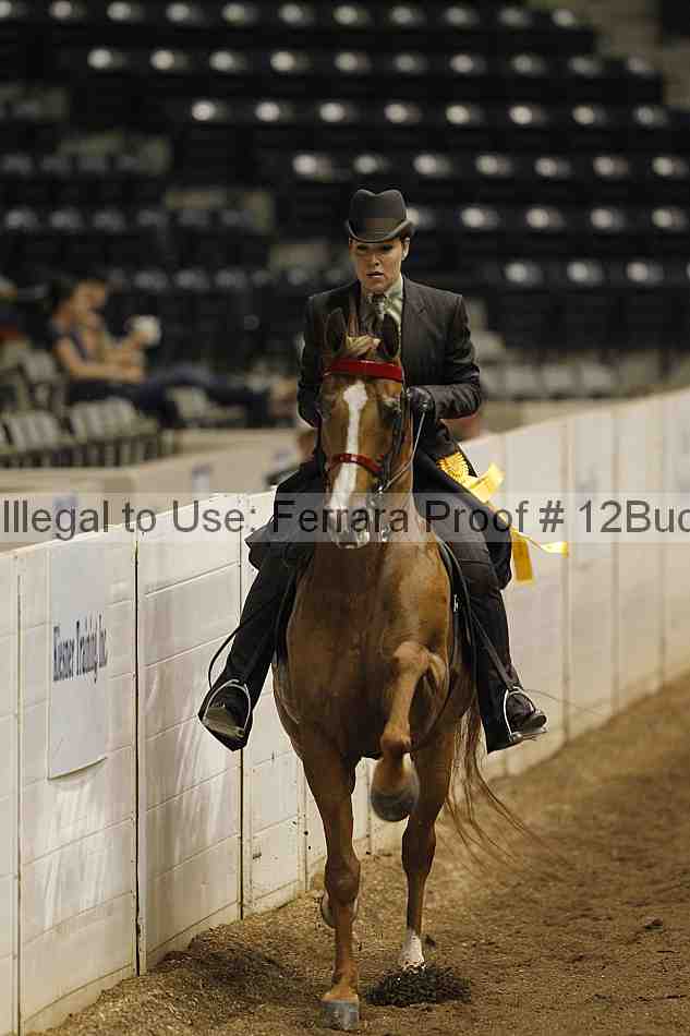 Proof 12buck_0483