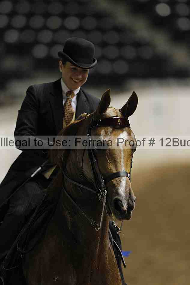 Proof 12buck_0485