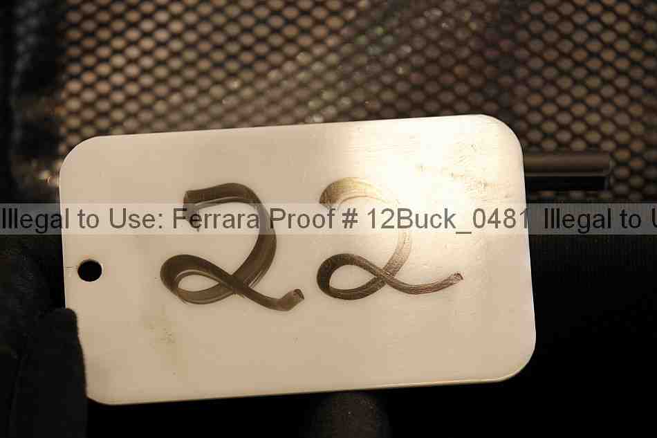 Proof 12buck_0481