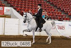 12buck_0486 proof
