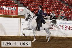 12buck_0487 proof