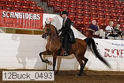 12buck_0493 proof