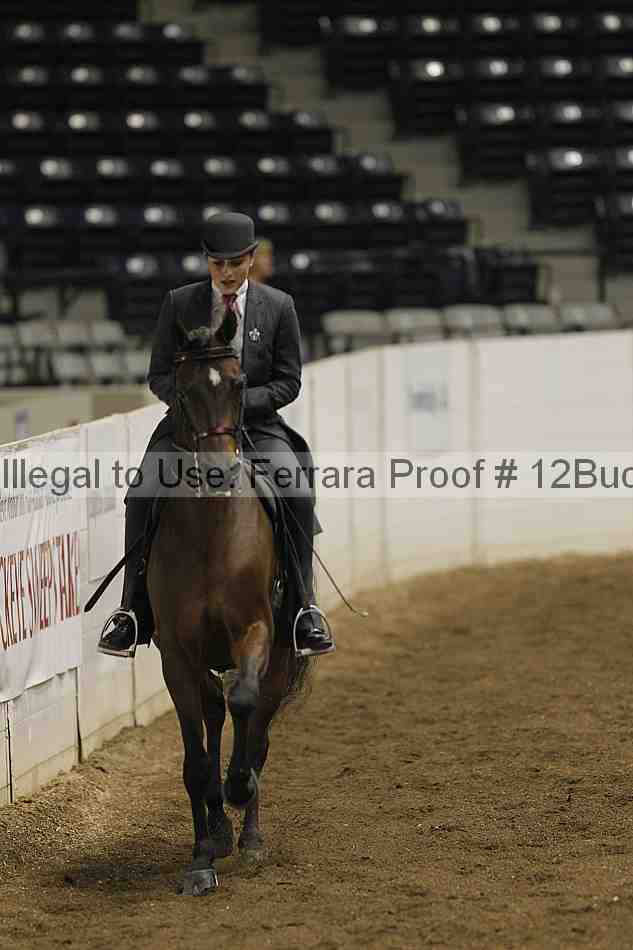 Proof 12buck_0497