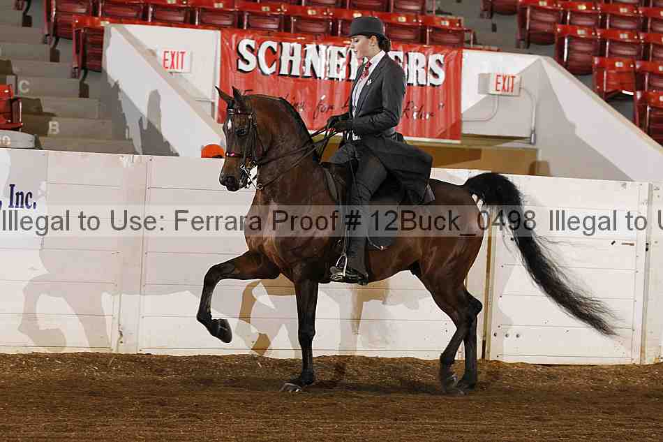 Proof 12buck_0498