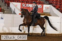 12buck_0498 proof