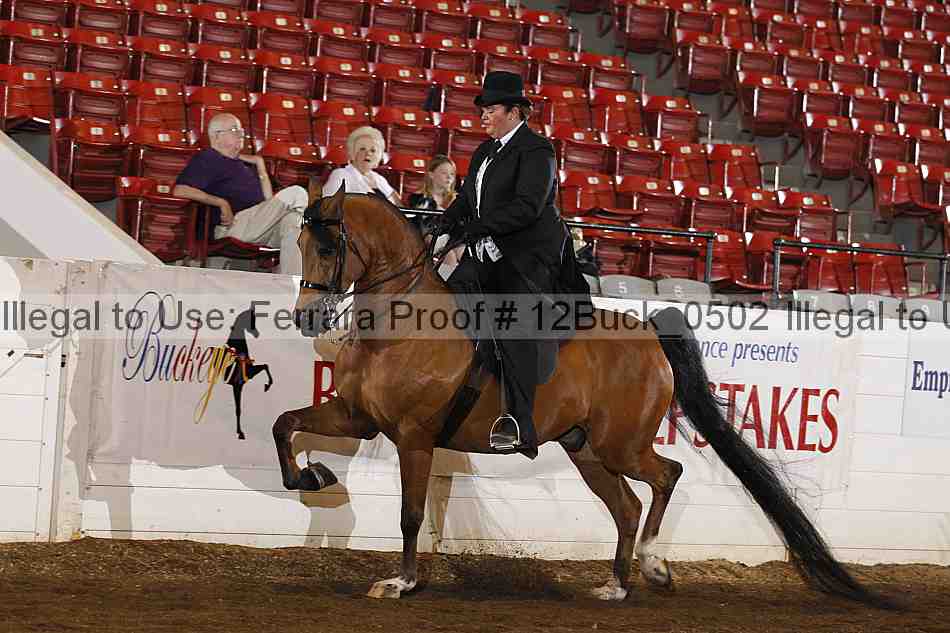 Proof 12buck_0502