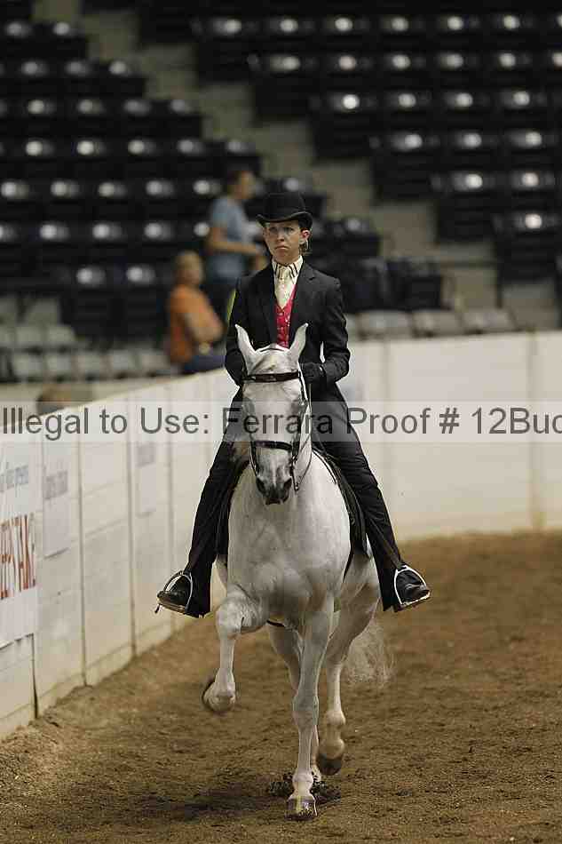 Proof 12buck_0504