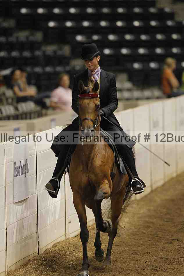 Proof 12buck_0505