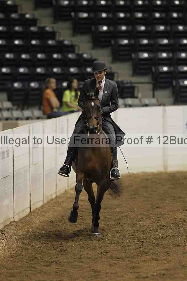 Proof 12buck_0507