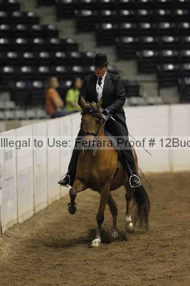 Proof 12buck_0508
