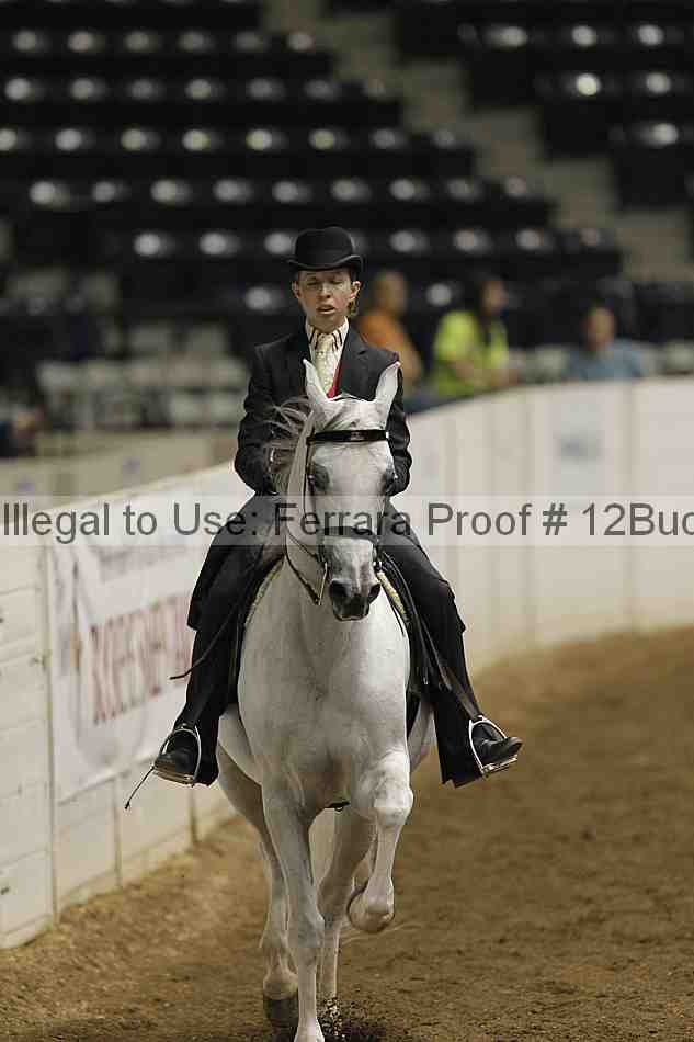 Proof 12buck_0509