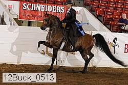 12buck_0513 proof