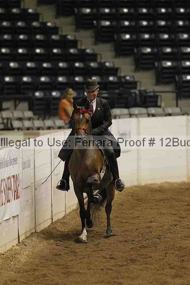 Proof 12buck_0515