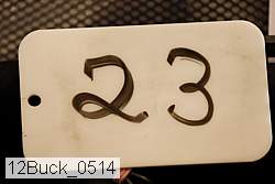 12buck_0514 proof