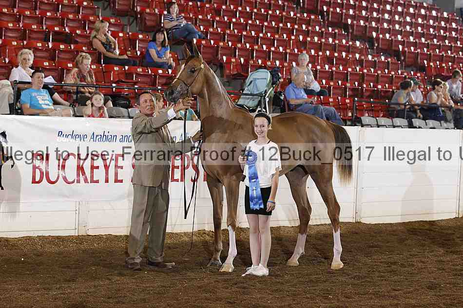 Proof 12buck_0517