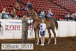12buck_0517 proof