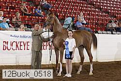 12buck_0518 proof