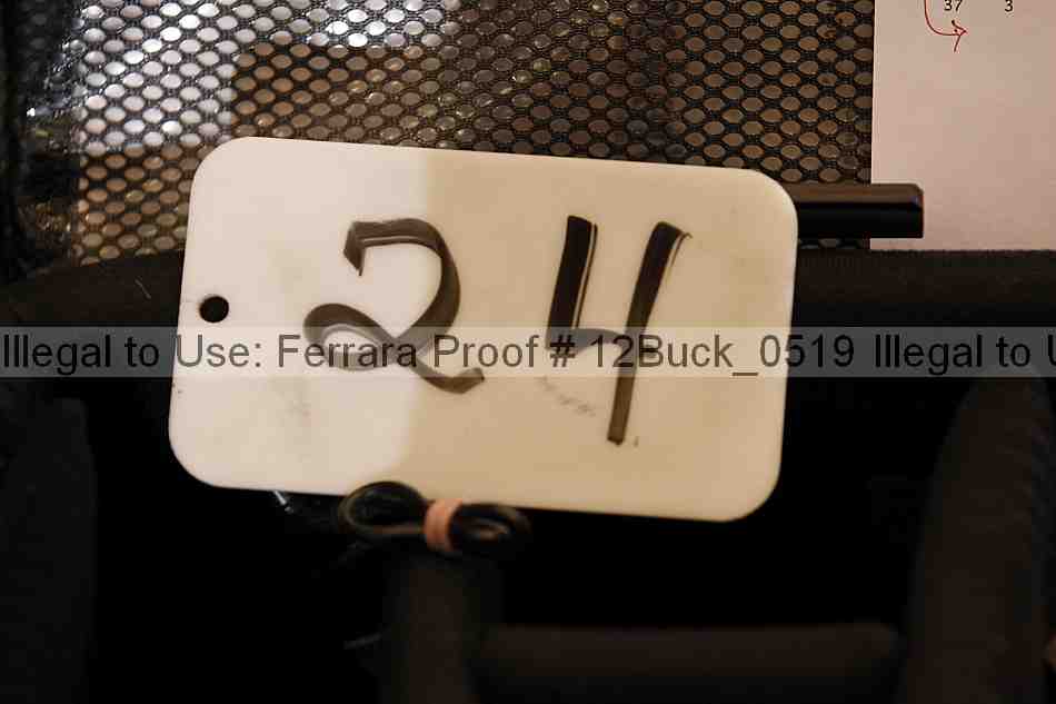Proof 12buck_0519