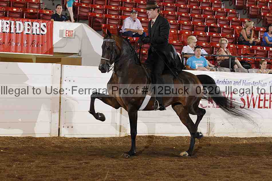 Proof 12buck_0520