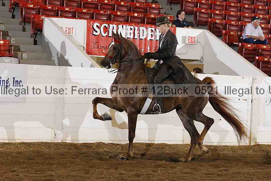 Proof 12buck_0521