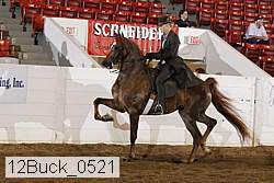12buck_0521 proof