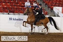 12buck_0523 proof