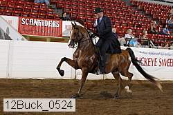 12buck_0524 proof