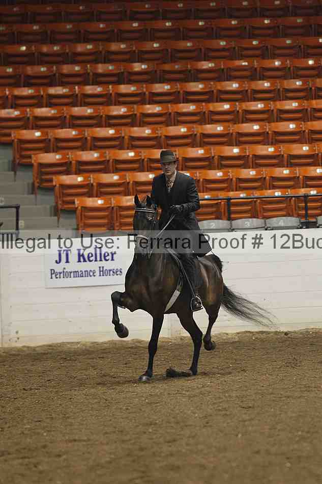 Proof 12buck_0525