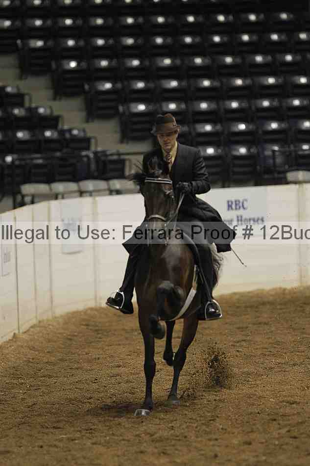 Proof 12buck_0526
