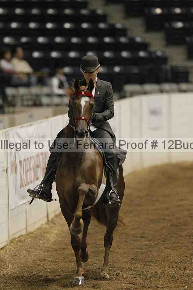 Proof 12buck_0527