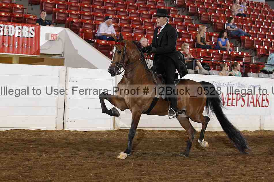 Proof 12buck_0528