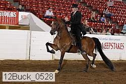 12buck_0528 proof
