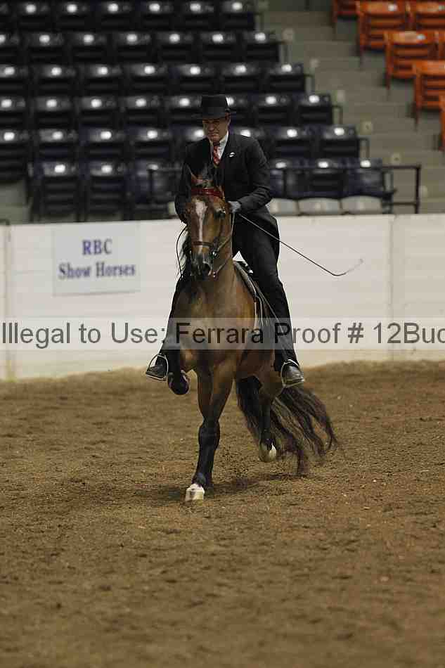 Proof 12buck_0529