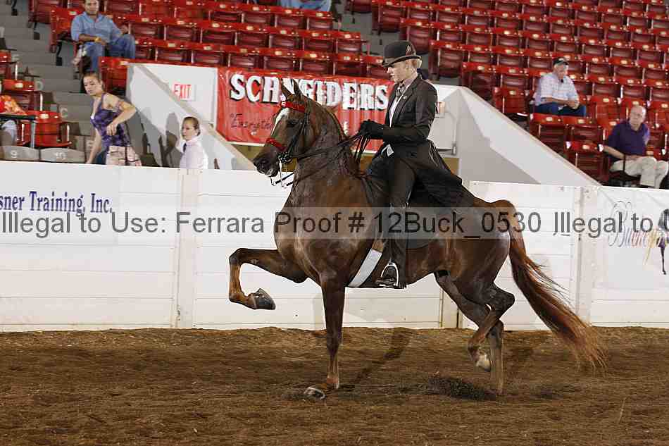 Proof 12buck_0530