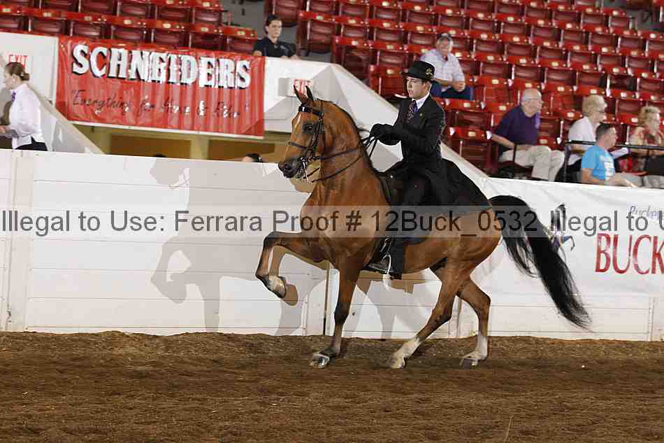 Proof 12buck_0532