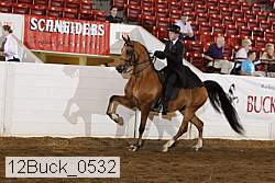 12buck_0532 proof