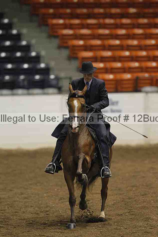 Proof 12buck_0534