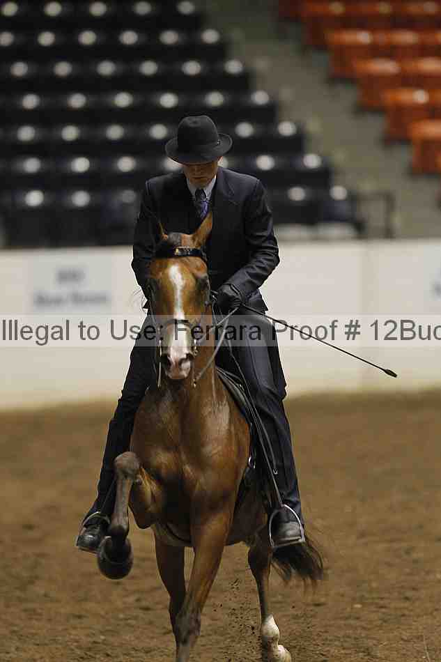 Proof 12buck_0535