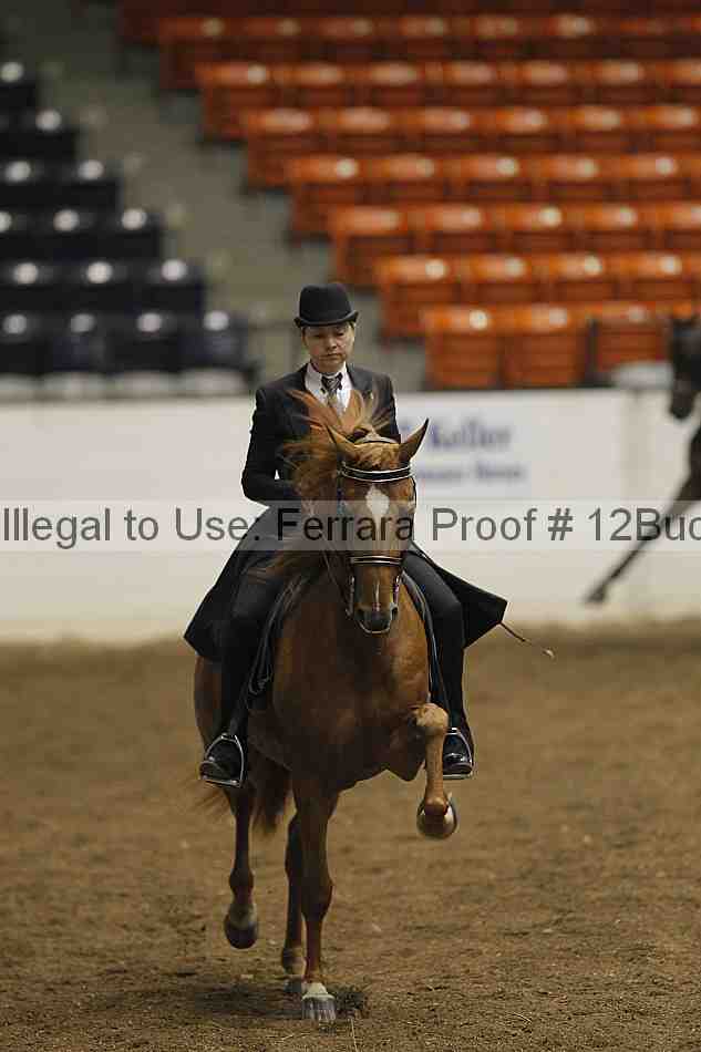 Proof 12buck_0537