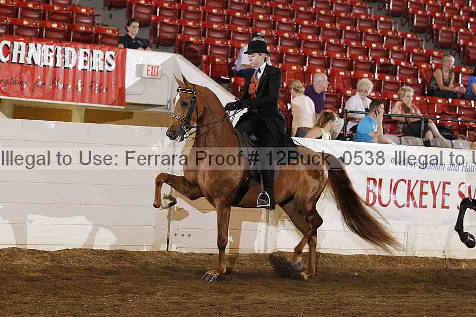 Proof 12buck_0538