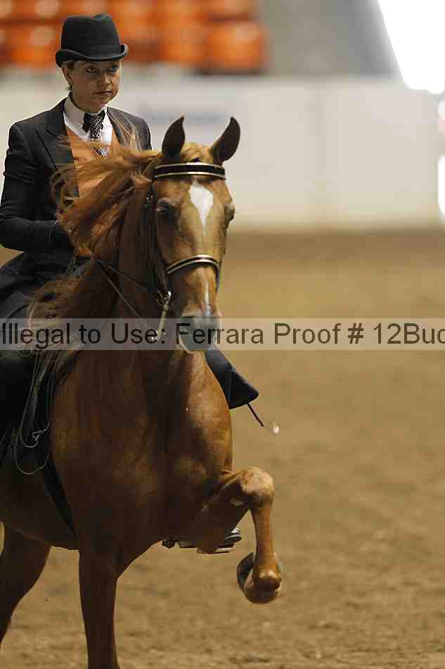 Proof 12buck_0539