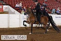 12buck_0540 proof