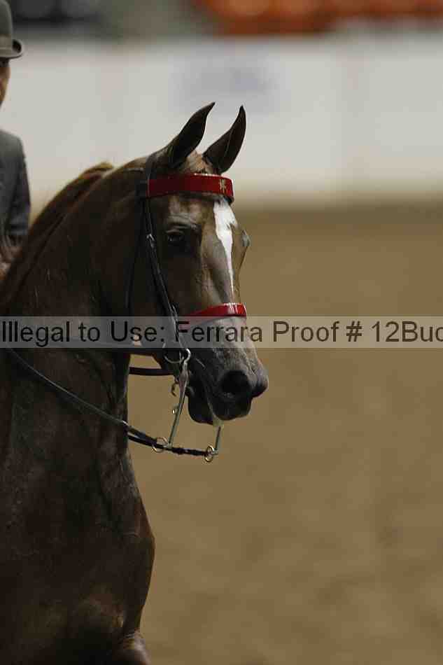 Proof 12buck_0544