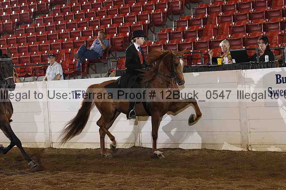 Proof 12buck_0547