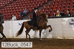 12buck_0547 proof