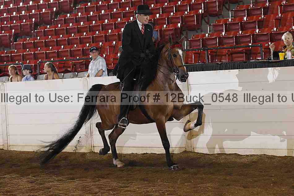 Proof 12buck_0548
